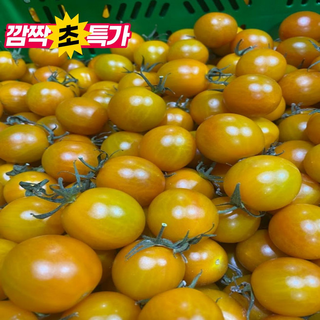 [진짜만판다] 방울토마토 산지직송 달콤한 자몽마토, 1박스, 자몽마토 500g