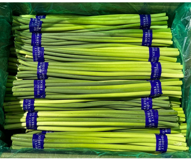 7kg 단쫑 마늘쫑 수입마늘쫑 업소용 급식 도매