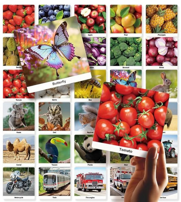 도티모 52 액션 동사 플래시 카드 - 그림 카드가 포함된 어휘 및 ESL 교재 언어 치료 학습을 위한 4"x5.8" 비언어적 의사소통 도구, Nouns Flashcards, Square