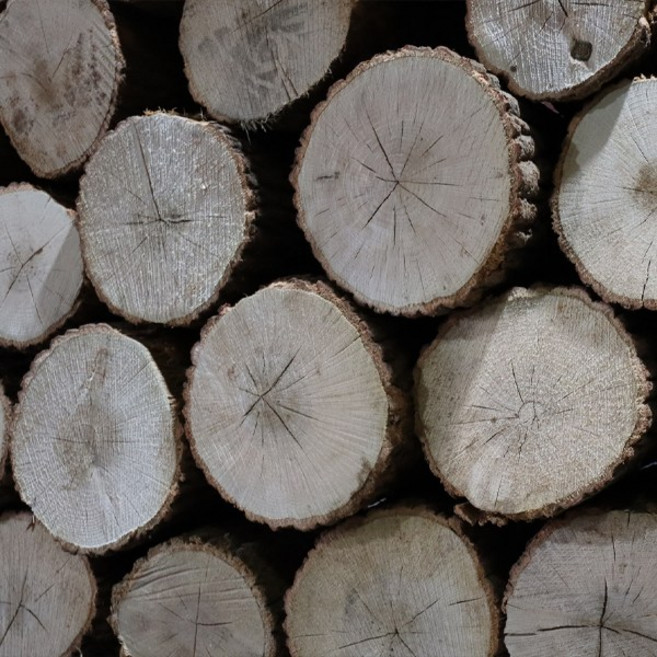 국내산 잘 건조된 참나무 고급 벽난로 화목난로용 절단목 장작 30cm (기본 3루베 이상 배송 및 거리에 따라 배송비 협의), 1개