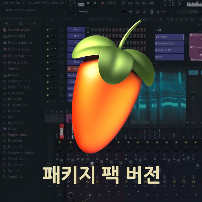 FLSTUDIO 패키지팩버전 강좌책 포함 FL스튜디오 DAW 작곡 편곡 프로그램 프로듀서 시그니처 교육용 올플러그인 프루티 동영상강좌 제공