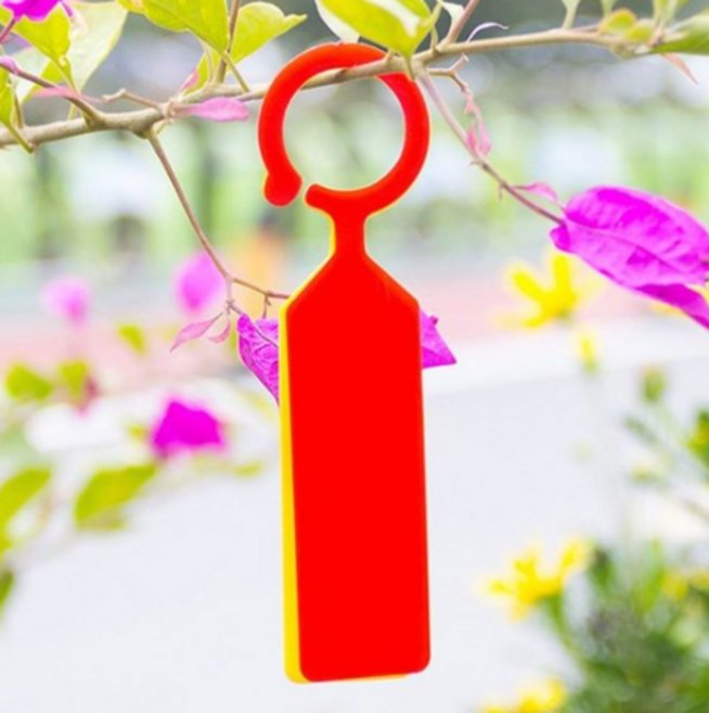 걸이 나무 이름표 20p 세트