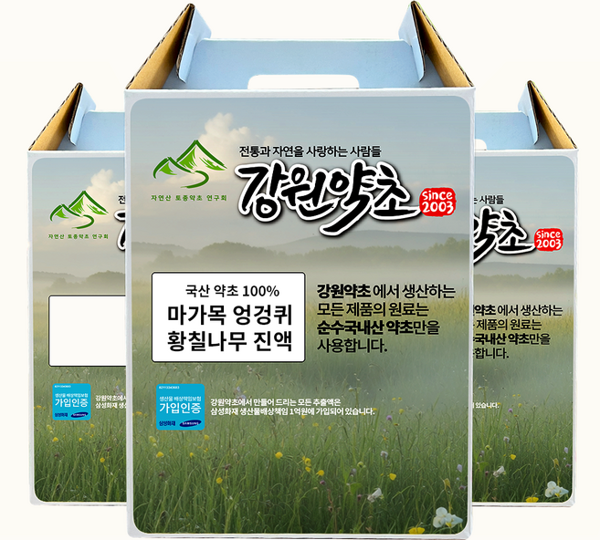 [강원약초] 강원도 마가목엉겅퀴황칠나무 진액 100ml/ 60봉 강원도 정선 마가목 엉겅퀴 고흥 황칠나무 48시간 저온추출, 60개, 100ml