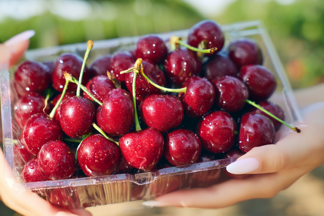 [아침담다] 항공직송 미국 칠레산 체리, 1박스, 대과 300g