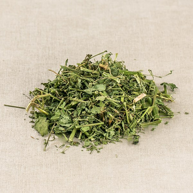 한가람건강원 국산 까마중 차 용규 약초 100g, 1개