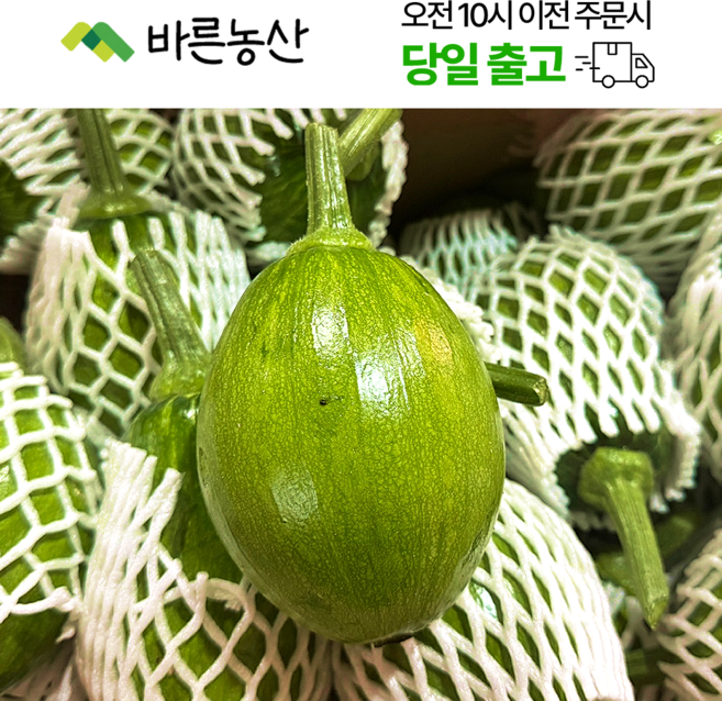 < 바른농산 > 국내산 풋호박 둥근호박 조선호박, 1개, 10개