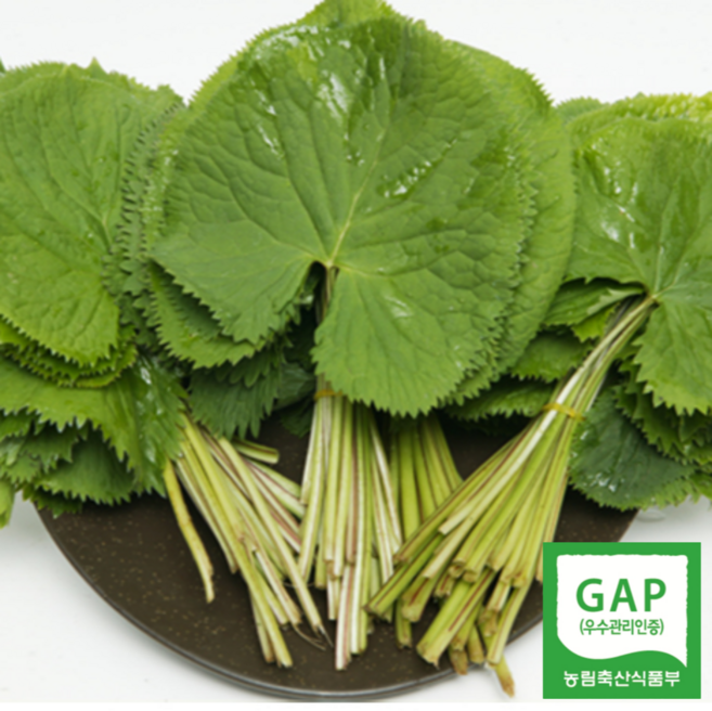 [GAP인증] 산지직송 제철 생 곰취, 1세트, 1kg