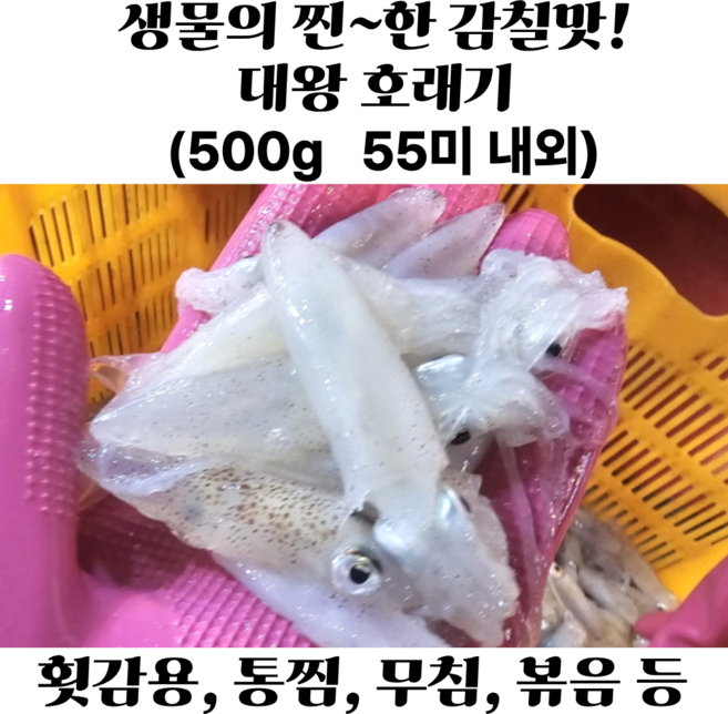 생물 호래기 꼴뚜기 횟감용 급냉 자연산 호래기 당일조업, 1박스, 대왕 호래기 생물 500g