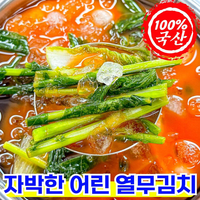 [재구매1등] 100%국산 시원한 열무 물김치 자박이, 1세트, 1kg