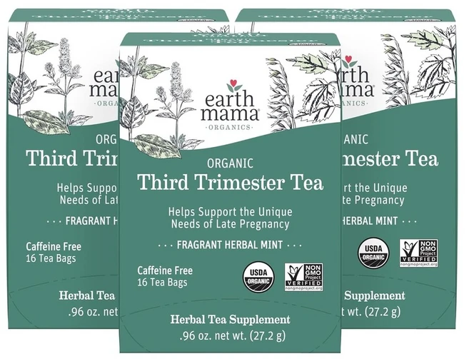Earth Mama 어스마마 라즈베리 잎차 티백 미국 직배송 16개입 2개, 27.2g - 쿠팡