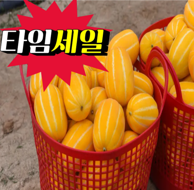 <품담> 특별할인!! 아삭하고 달콤함이 가득한 성주 참외, 1박스, 2kg 못난이(혼합과)