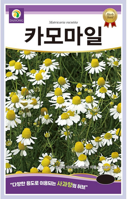다농 카모마일 씨앗 1g, 2개
