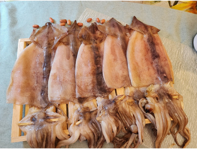 반건조 오징어 피데기 사이즈 다량보유, 1개, 1.8kg(10미)