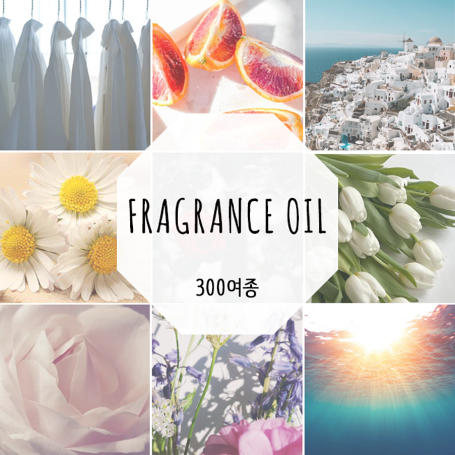 [드그라쎄] 프리미엄 프래그런스오일 350종 캔들 디퓨저 석고방향제 20ml - 1, 국내산 19. 블랙베리