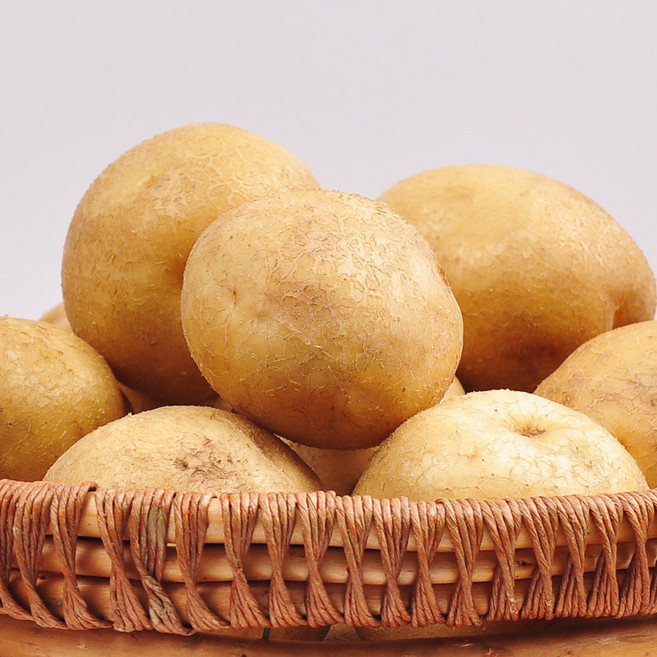 [푸르젠] 포슬포슬 감자, 1개, 20kg (대)