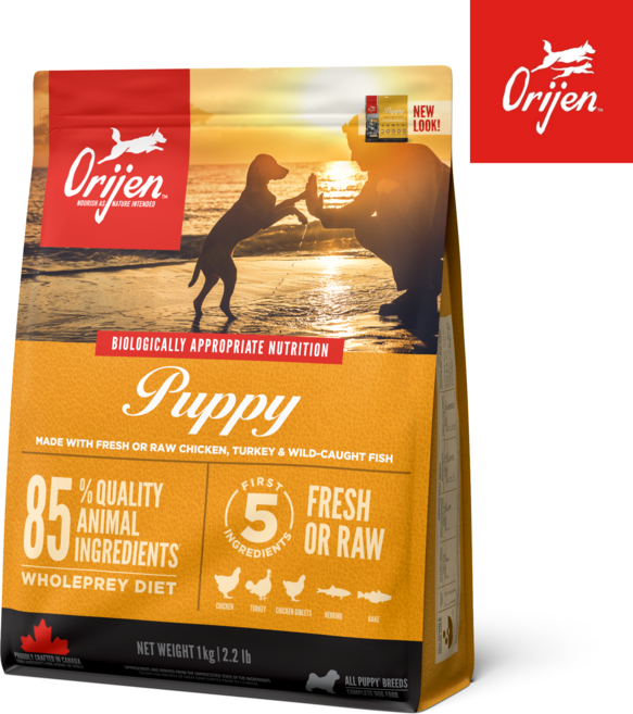 (사은품증정) 오리젠 강아지 사료 퍼피 독, 2kg, 1개, 닭