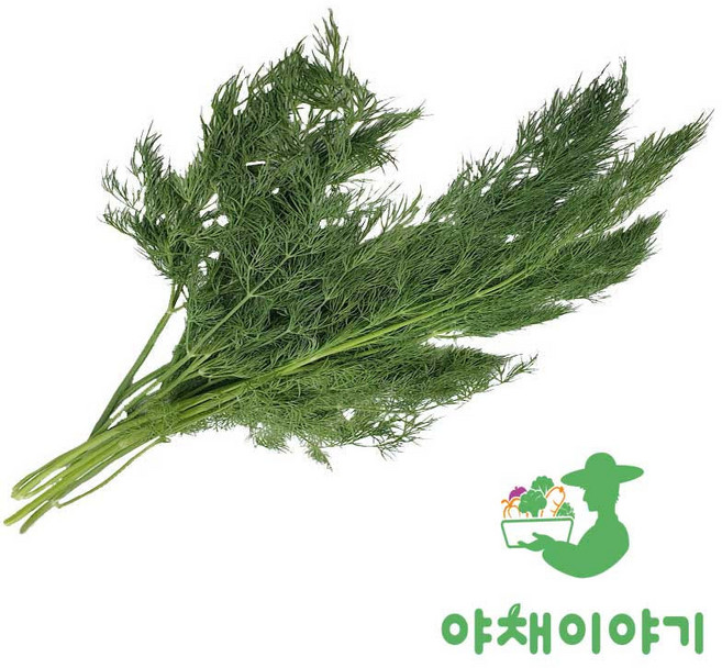 야채이야기 딜 1kg 허브딜, 1박스