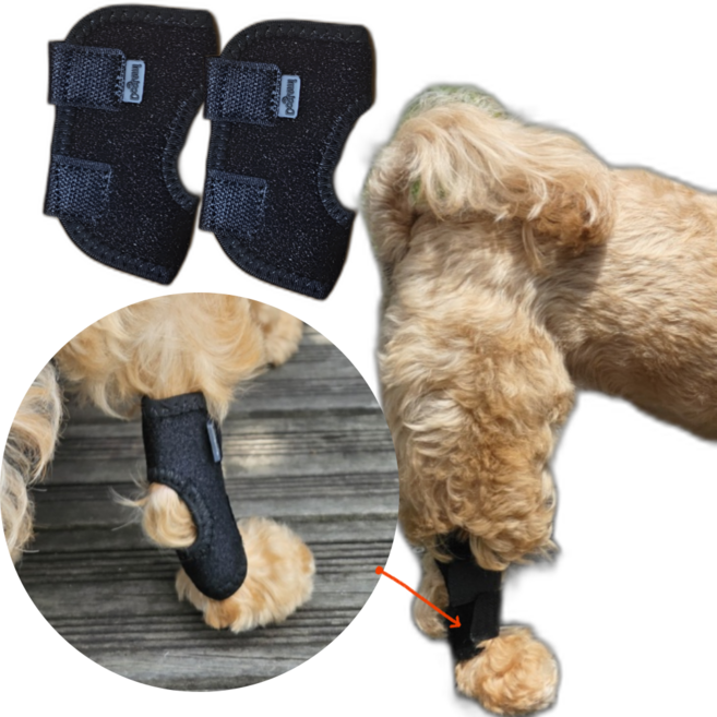 베어워크 강아지 슬개골 보호대, 2개, 23g