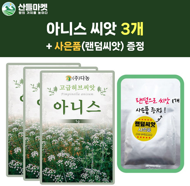 산들마켓 아니스 씨앗 1g 아니스 꽃씨 허브 종자 3개+랜덤씨앗1개 증정, 1개