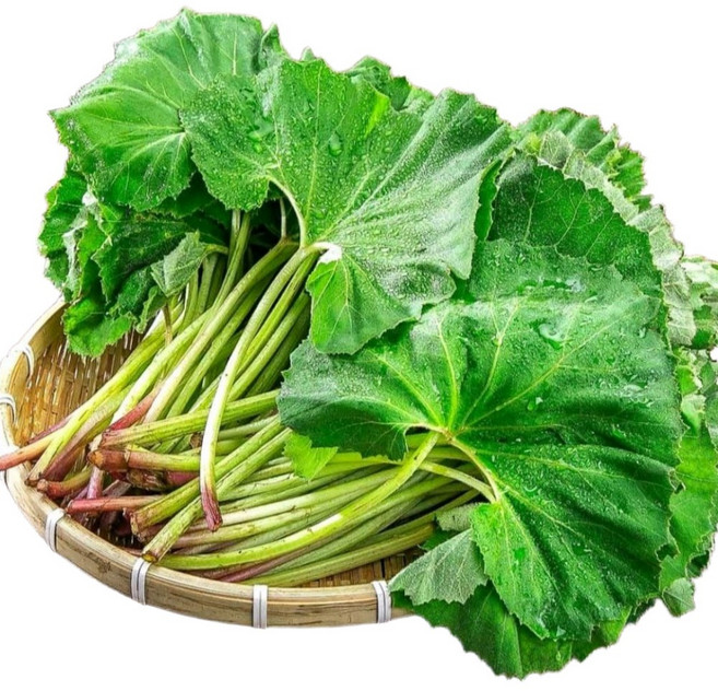 이른밭 국내산 머위잎 생 머위 머위나물, 1개, 1kg