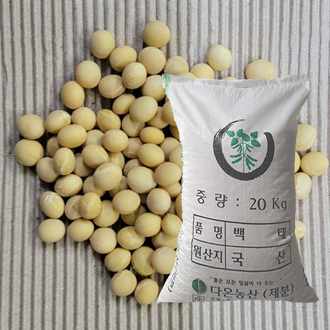 [다온농산] 2025년산 국산 백태/메주콩/흰콩/두부콩 -20Kg- (강원도 홍천 인제 농가), 20kg, 1개