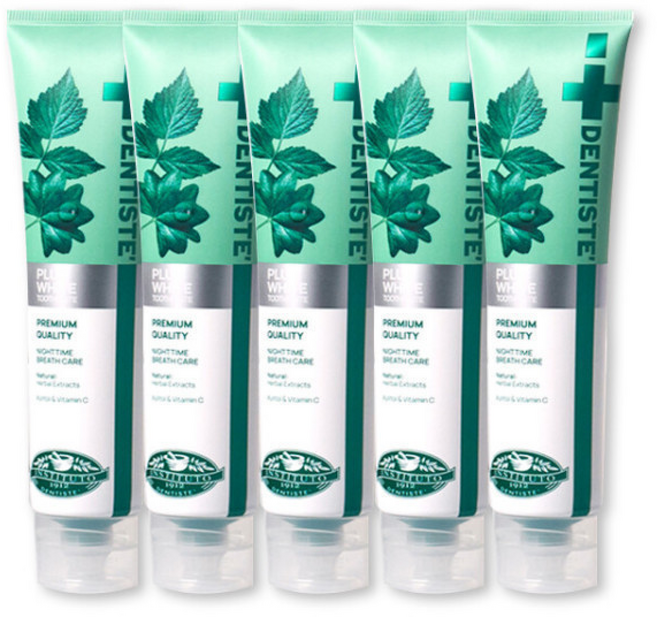 덴티스테 뉴 플러스화이트 치약, 160g