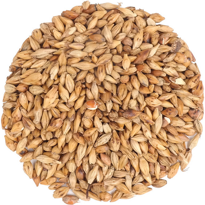 신선약초 국산 볶은 맥아 500g, 1개