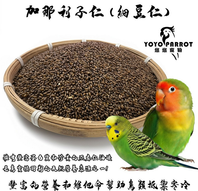悠悠寵物 加那利子仁 細豆仁 鸚鵡飼料, 1個, 500g