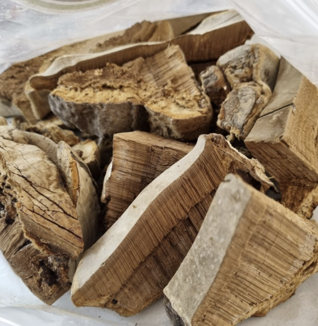 국내산) 지리산 산지직송 꺠끗히 절단된 자연산 고품질 말굽버섯, 1개, 300g