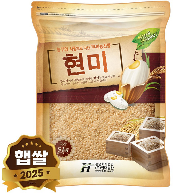 현대농산 국산 현미 5kg, 1개