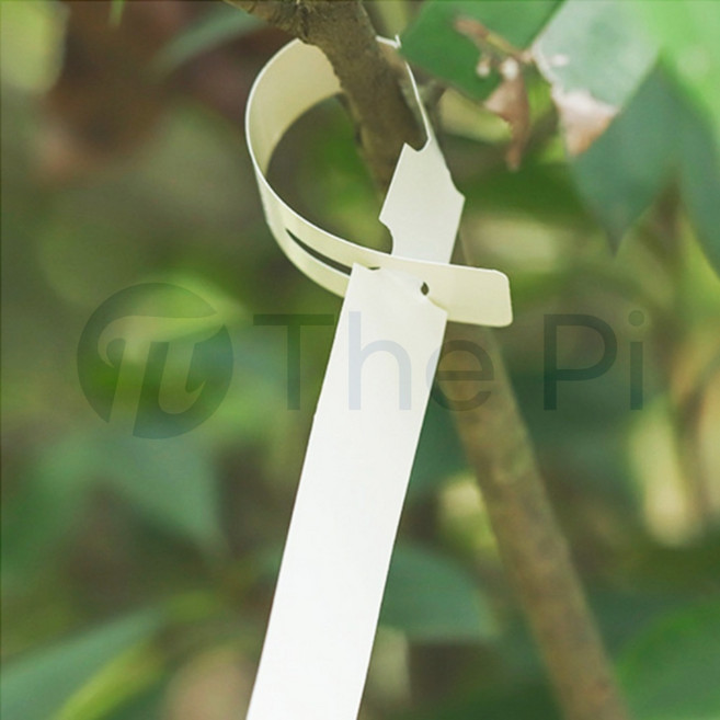 The Pi 나무 이름표 리본 200p 나무안내판, 흰색