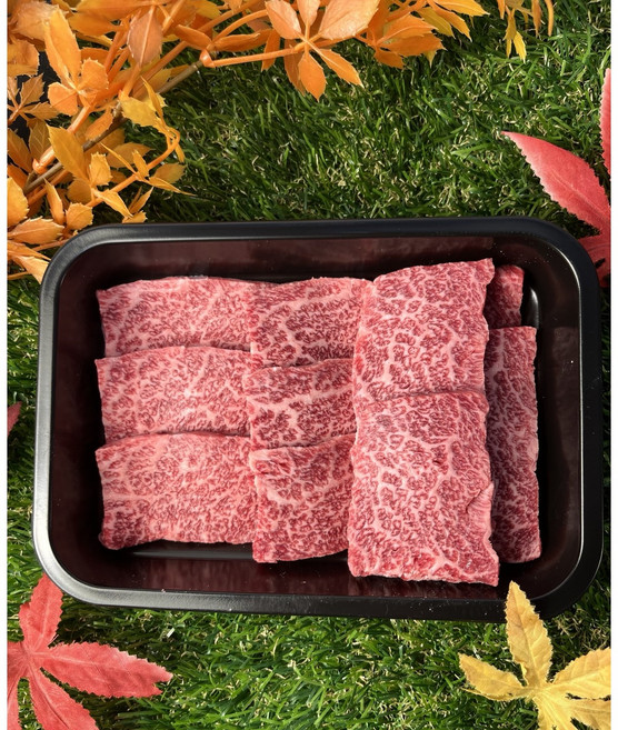 한우 단품 선물세트 투쁠 ++1등급, 1개, ++1(9) 살치 200g