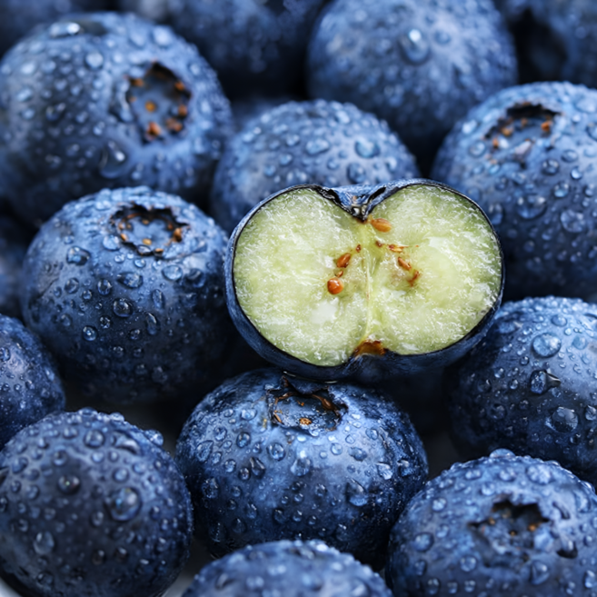 무농약 인증 국산 생 블루베리, 1개, 500g