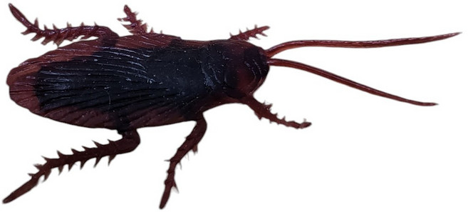 쓸데없는 놀라는 놀리는 장난감 모형 인형 바퀴벌레 선물, 1개