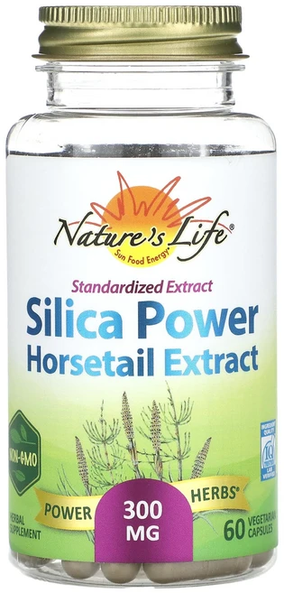 Nature's Life 실리카 파워 쇠뜨기 추출물 300mg 베지 캡슐 60정, NaturesLife실리카파워쇠뜨기추출물300mg베지캡, 1개 - 쿠팡