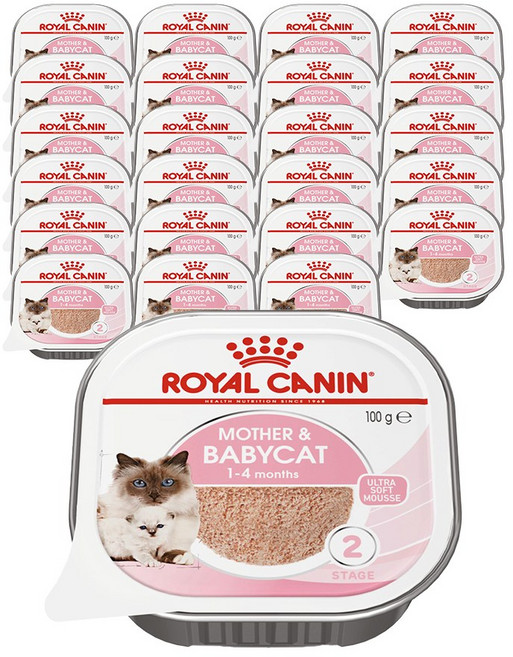 로얄캐닌 마더 앤 베이비 캣 캔 어린 새끼 고양이 습식 사료 울트라 소프트 무스, 100g, 24개, 닭+귀리