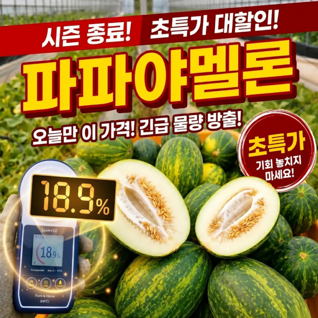 [딱100박스만한정특가] 극brix 초고당도 산지직송 파파야멜론, 1박스, 3kg
