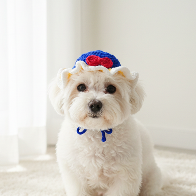 미유틱 고양이 강아지 모자 보닛, 1개, 3. 블루