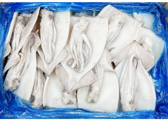 할복 오징어 손질오징어 활복오징어 IQF 냉동 벌크 업소용, 사이즈 : 26-30미, 1박스