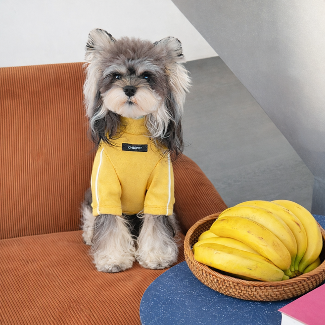 [창고정리] 강아지 올인원 캐릭터 실내복 잠옷 순면 4다리옷 털날림방지 소형견 중형견 시즌오프, 1개, 옐로우