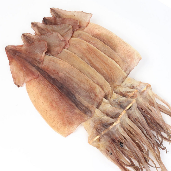 더줌 마른오징어 가장 맛있는 프리미엄 사이즈 (1축1.7kg)마른 오징어, 1개, 1.7kg(20마리)