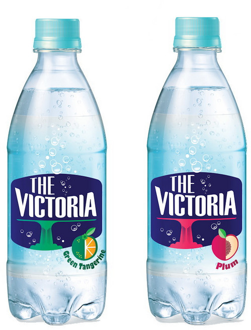 더 빅토리아 청귤+자두 탄산음료, 40개, 500ml