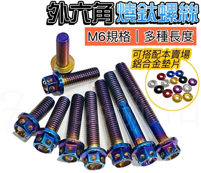 M6 燒鈦螺絲 多種長度 外六角螺絲 鍍鈦/鍍金/白鐵不鏽鋼螺絲 彩鈦/燒藍螺絲, 1個, M6_30【燒鈦】1顆, 30mm