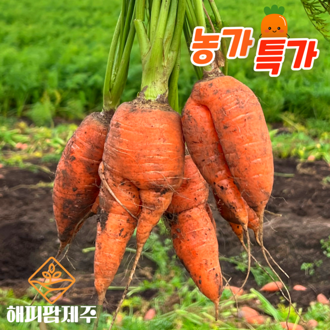 해피팜제주 농가직송 제주 흙당근 아삭달콤 햇못난이당근, 1박스, 못난이 당근 5kg
