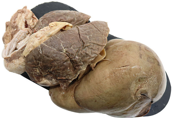 [대국맛짱] 국내산 삶은 돼지내장 (돼지염통 돼지허파 돼지간) (일요일/당일발송), 2개, 2kg