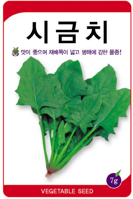 영농사 <그린월드 시금치 씨앗 7g> 시금치씨, 1개