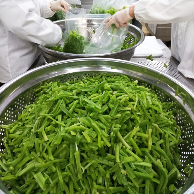 궁채나물 / 위생적으로 불림 세척후 1kg씩 개별 진공포장된 아삭아삭 줄기상추, 1kg, 2개