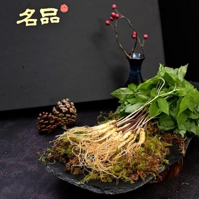 에코그램 새싹인삼 1년근 소 50뿌리 #당일 수확 발송! #몸에 열 많은 체질도 걱정 없이 가능, 1(50뿌리), 1개