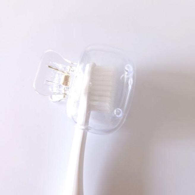 위생적인 휴대용 집게형 칫솔 투명 캡 케이스 덮개