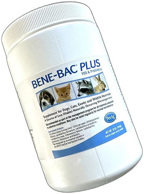 반려동물 장 건강 증진 유산균 면역력 강화 소화 기능 개선 애완견 애완묘 겸용 영양제 454g 1개, 장건강/유산균 - 쿠팡